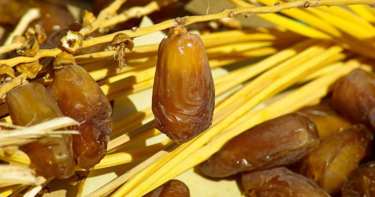 Manfaat Konsumsi Kurma Selama Ramadhan